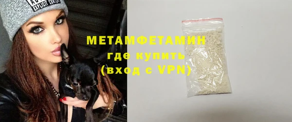 индика Осинники