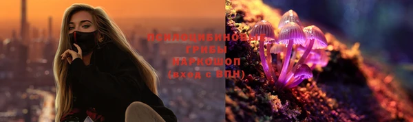 спиды Абаза