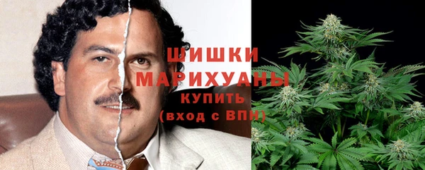 прущие грибы Абдулино